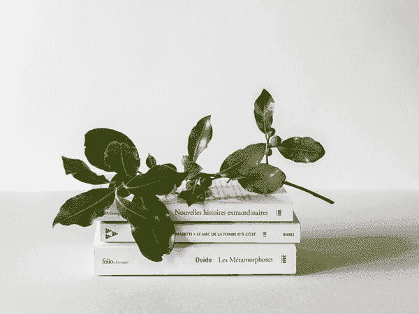 电话连环呼叫软件